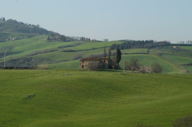BIBBONA CAMPAGNA